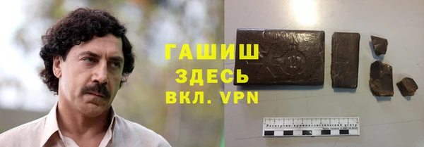 spice Богданович