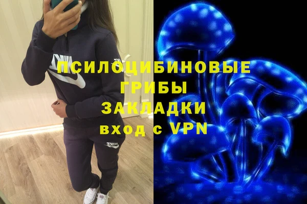 герыч Богородск