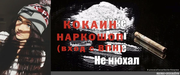 spice Богданович