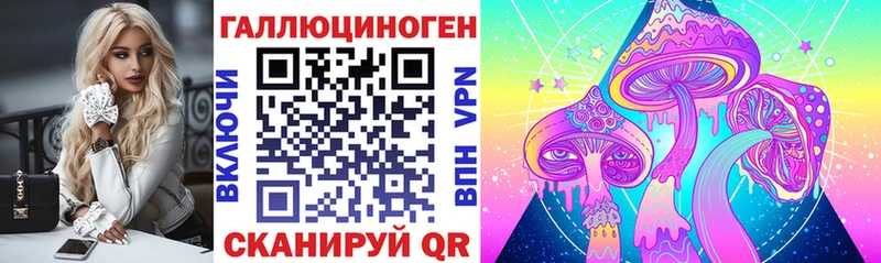 Псилоцибиновые грибы мицелий  Купить  Бологое 
